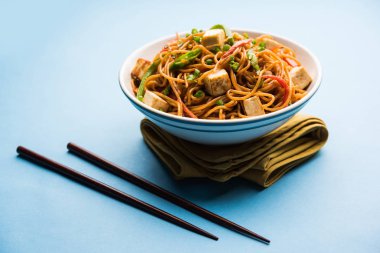 Schezwan hakka erişte paneer veya süzme peynir ile. Bir kasede servis. seçici odak