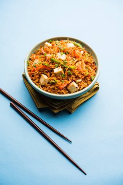 Schezwan hakka erişte paneer veya süzme peynir ile. Bir kasede servis. seçici odak