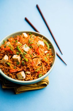 Schezwan hakka erişte paneer veya süzme peynir ile. Bir kasede servis. seçici odak