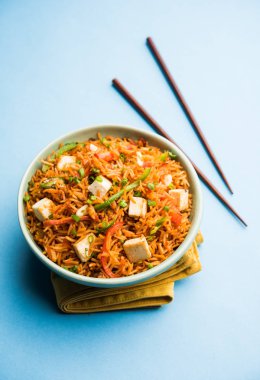 Schezwan hakka erişte paneer veya süzme peynir ile. Bir kasede servis. seçici odak