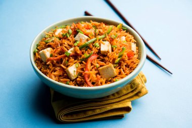 Schezwan hakka erişte paneer veya süzme peynir ile. Bir kasede servis. seçici odak