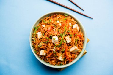 Schezwan hakka erişte paneer veya süzme peynir ile. Bir kasede servis. seçici odak