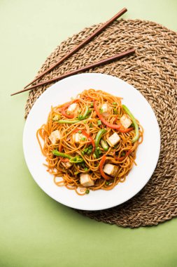 Schezwan hakka erişte paneer veya süzme peynir ile. Bir kasede servis. seçici odak