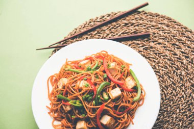 Schezwan hakka erişte paneer veya süzme peynir ile. Bir kasede servis. seçici odak