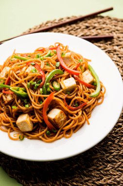 Schezwan hakka erişte paneer veya süzme peynir ile. Bir kasede servis. seçici odak