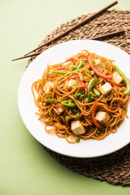 Schezwan hakka erişte paneer veya süzme peynir ile. Bir kasede servis. seçici odak