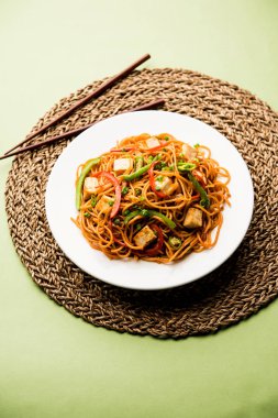 Schezwan hakka erişte paneer veya süzme peynir ile. Bir kasede servis. seçici odak