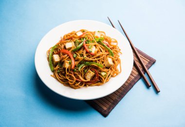 Schezwan hakka erişte paneer veya süzme peynir ile. Bir kasede servis. seçici odak