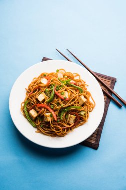 Schezwan hakka erişte paneer veya süzme peynir ile. Bir kasede servis. seçici odak