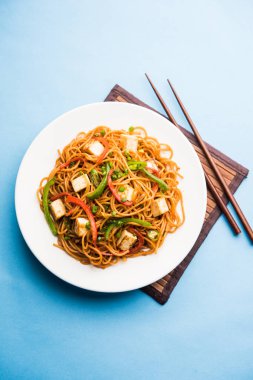 Schezwan hakka erişte paneer veya süzme peynir ile. Bir kasede servis. seçici odak