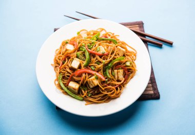 Schezwan hakka erişte paneer veya süzme peynir ile. Bir kasede servis. seçici odak