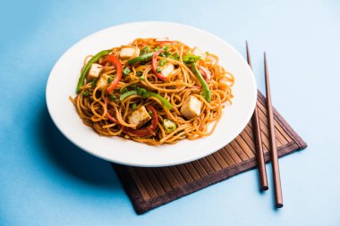 Schezwan hakka erişte paneer veya süzme peynir ile. Bir kasede servis. seçici odak