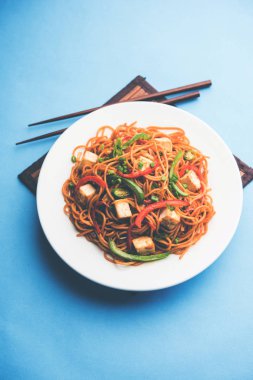 Schezwan hakka erişte paneer veya süzme peynir ile. Bir kasede servis. seçici odak