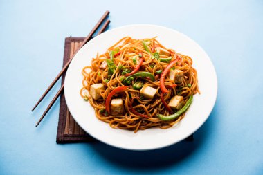 Schezwan hakka erişte paneer veya süzme peynir ile. Bir kasede servis. seçici odak