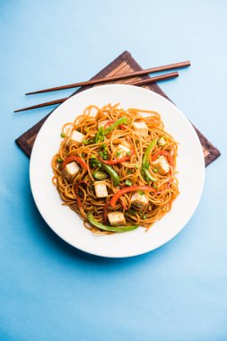 Schezwan hakka erişte paneer veya süzme peynir ile. Bir kasede servis. seçici odak