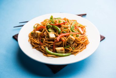 Schezwan hakka erişte paneer veya süzme peynir ile. Bir kasede servis. seçici odak