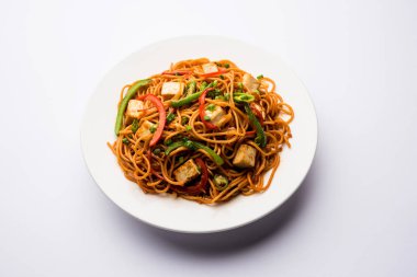 Schezwan hakka erişte paneer veya süzme peynir ile. Bir kasede servis. seçici odak