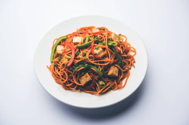 Schezwan hakka erişte paneer veya süzme peynir ile. Bir kasede servis. seçici odak