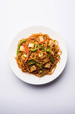 Schezwan hakka erişte paneer veya süzme peynir ile. Bir kasede servis. seçici odak