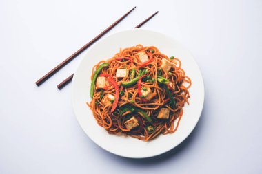 Schezwan hakka erişte paneer veya süzme peynir ile. Bir kasede servis. seçici odak