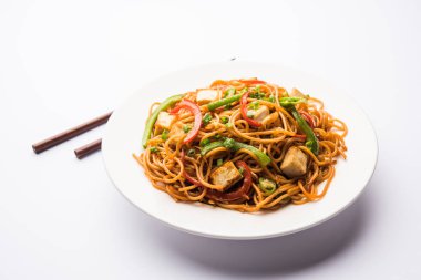 Schezwan hakka erişte paneer veya süzme peynir ile. Bir kasede servis. seçici odak