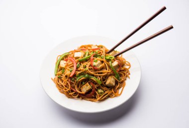 Schezwan hakka erişte paneer veya süzme peynir ile. Bir kasede servis. seçici odak