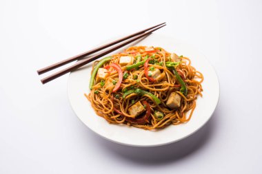 Schezwan hakka erişte paneer veya süzme peynir ile. Bir kasede servis. seçici odak