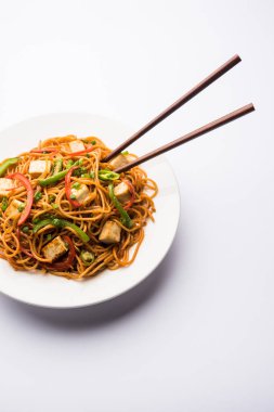 Schezwan hakka erişte paneer veya süzme peynir ile. Bir kasede servis. seçici odak