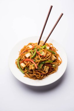 Schezwan hakka erişte paneer veya süzme peynir ile. Bir kasede servis. seçici odak