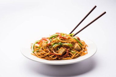 Schezwan hakka erişte paneer veya süzme peynir ile. Bir kasede servis. seçici odak