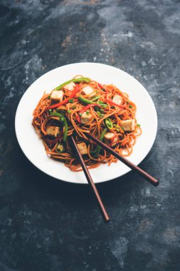 Schezwan hakka erişte paneer veya süzme peynir ile. Bir kasede servis. seçici odak