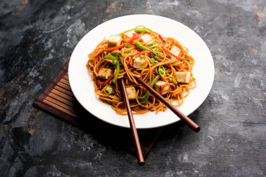 Schezwan hakka erişte paneer veya süzme peynir ile. Bir kasede servis. seçici odak