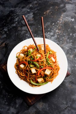 Schezwan hakka erişte paneer veya süzme peynir ile. Bir kasede servis. seçici odak