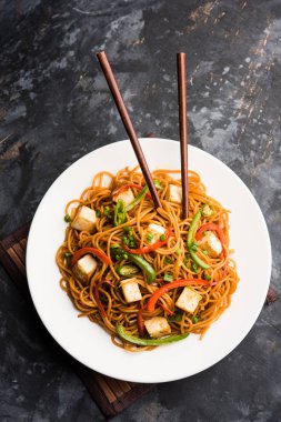 Schezwan hakka erişte paneer veya süzme peynir ile. Bir kasede servis. seçici odak