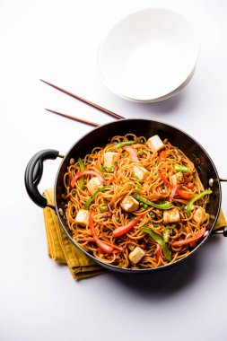 Schezwan hakka erişte paneer veya süzme peynir ile. Bir kasede servis. seçici odak