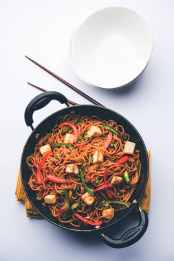 Schezwan hakka erişte paneer veya süzme peynir ile. Bir kasede servis. seçici odak