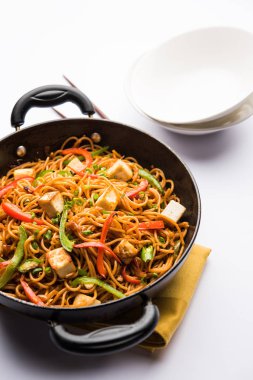 Schezwan hakka erişte paneer veya süzme peynir ile. Bir kasede servis. seçici odak