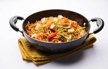 Schezwan hakka erişte paneer veya süzme peynir ile. Bir kasede servis. seçici odak