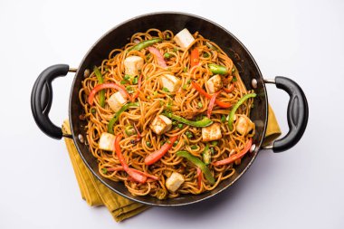 Schezwan hakka erişte paneer veya süzme peynir ile. Bir kasede servis. seçici odak