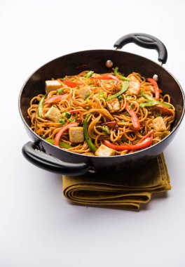 Schezwan hakka erişte paneer veya süzme peynir ile. Bir kasede servis. seçici odak