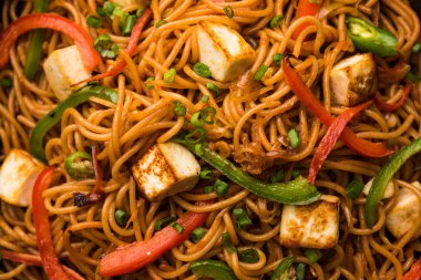 Schezwan hakka erişte paneer veya süzme peynir ile. Bir kasede servis. seçici odak