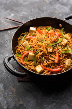 Schezwan hakka erişte paneer veya süzme peynir ile. Bir kasede servis. seçici odak