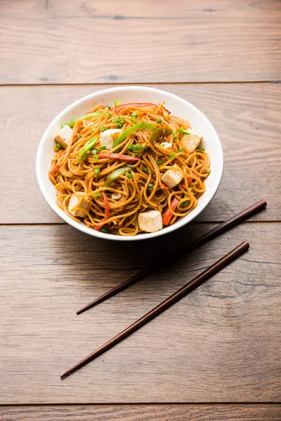 Schezwan hakka erişte paneer veya süzme peynir ile. Bir kasede servis. seçici odak