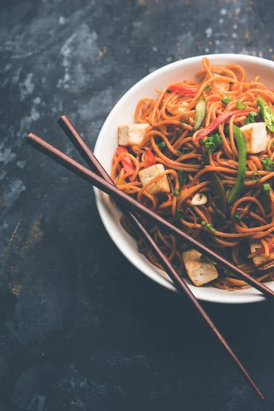 Schezwan hakka erişte paneer veya süzme peynir ile. Bir kasede servis. seçici odak