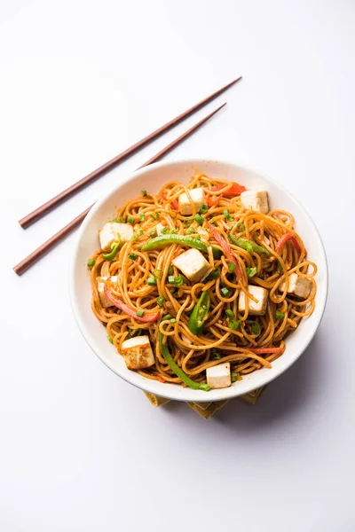 Schezwan hakka erişte paneer veya süzme peynir ile. Bir kasede servis. seçici odak