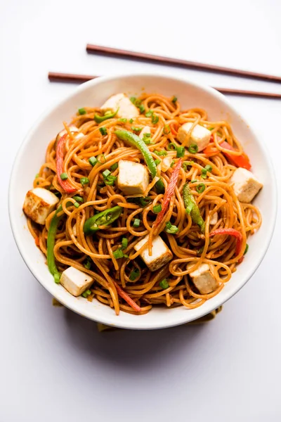 Schezwan hakka erişte paneer veya süzme peynir ile. Bir kasede servis. seçici odak