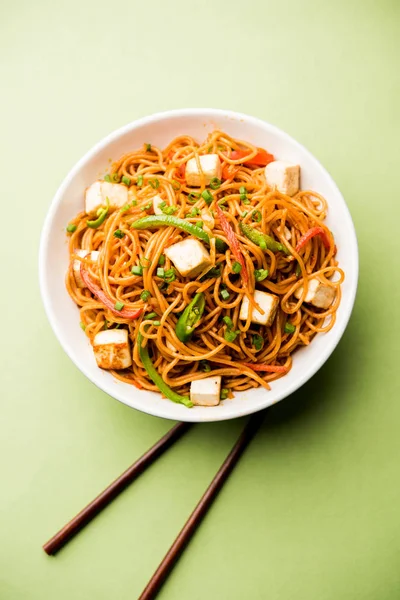 Schezwan hakka erişte paneer veya süzme peynir ile. Bir kasede servis. seçici odak