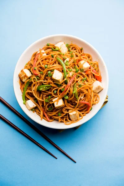 Schezwan hakka erişte paneer veya süzme peynir ile. Bir kasede servis. seçici odak