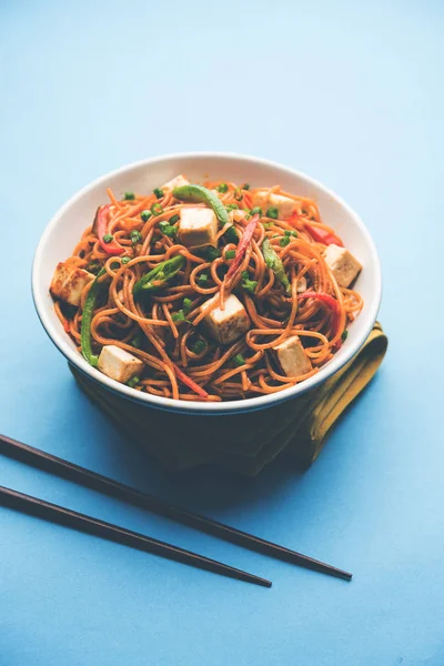 Schezwan hakka erişte paneer veya süzme peynir ile. Bir kasede servis. seçici odak