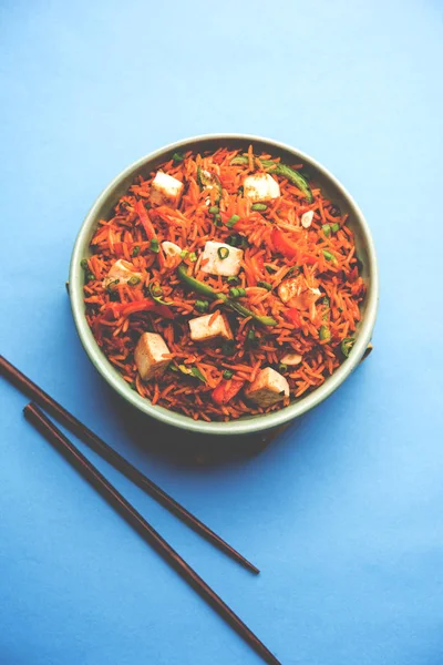 Schezwan hakka erişte paneer veya süzme peynir ile. Bir kasede servis. seçici odak